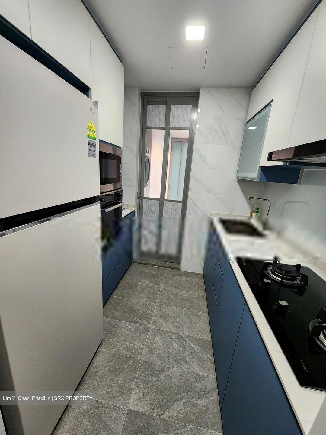 8 @ Mount Sophia (D9), Condominium #587738771